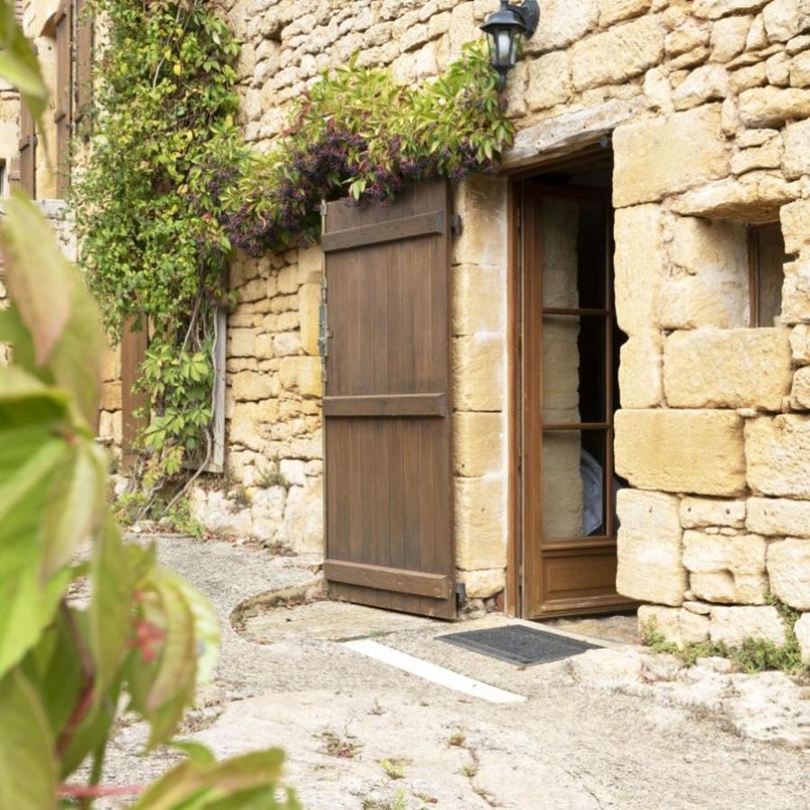 Domaine De Cantegrel - Gites De Charme Et Suite Troglodyte En Perigord Вітрак Екстер'єр фото