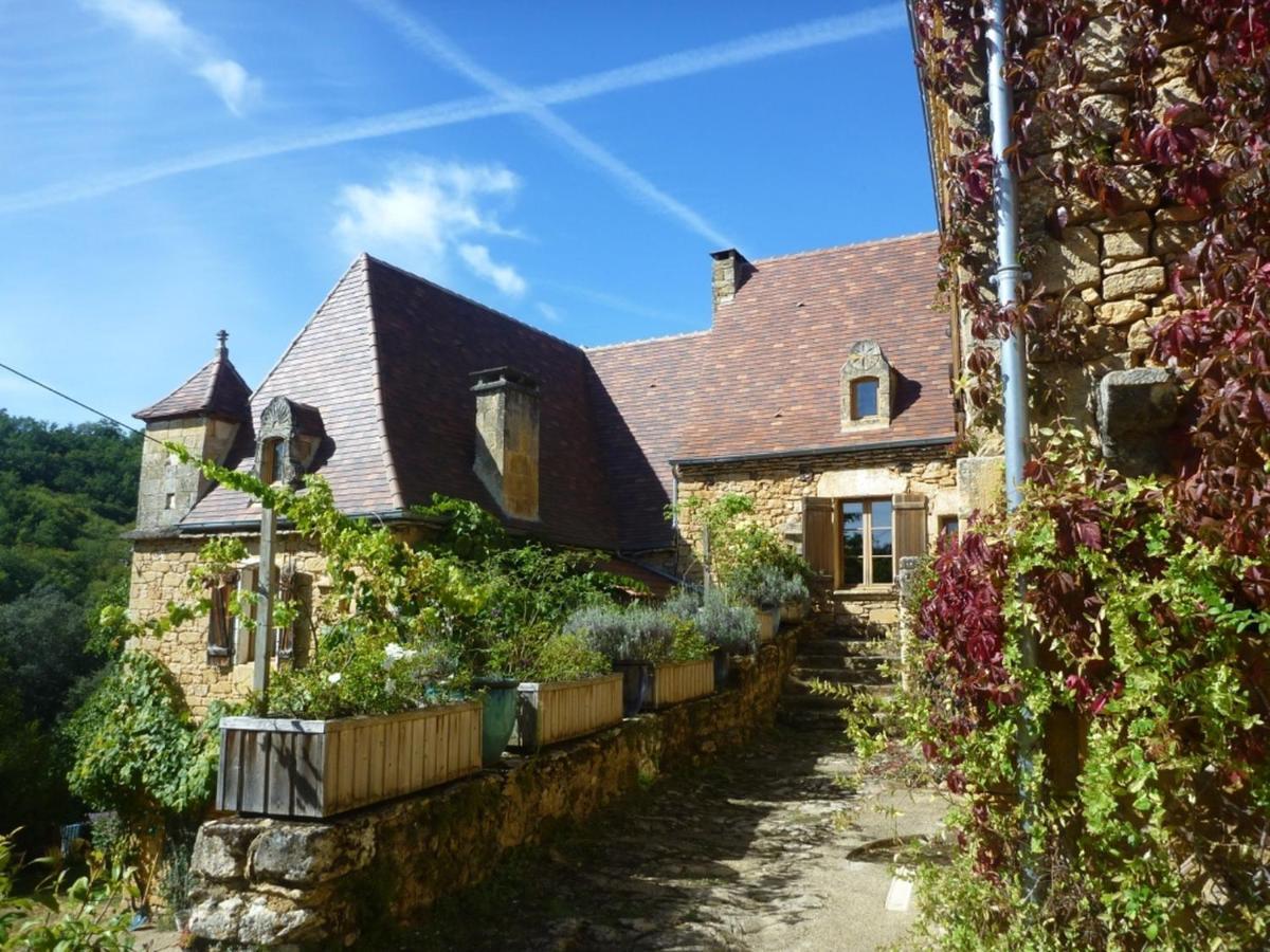 Domaine De Cantegrel - Gites De Charme Et Suite Troglodyte En Perigord Вітрак Екстер'єр фото