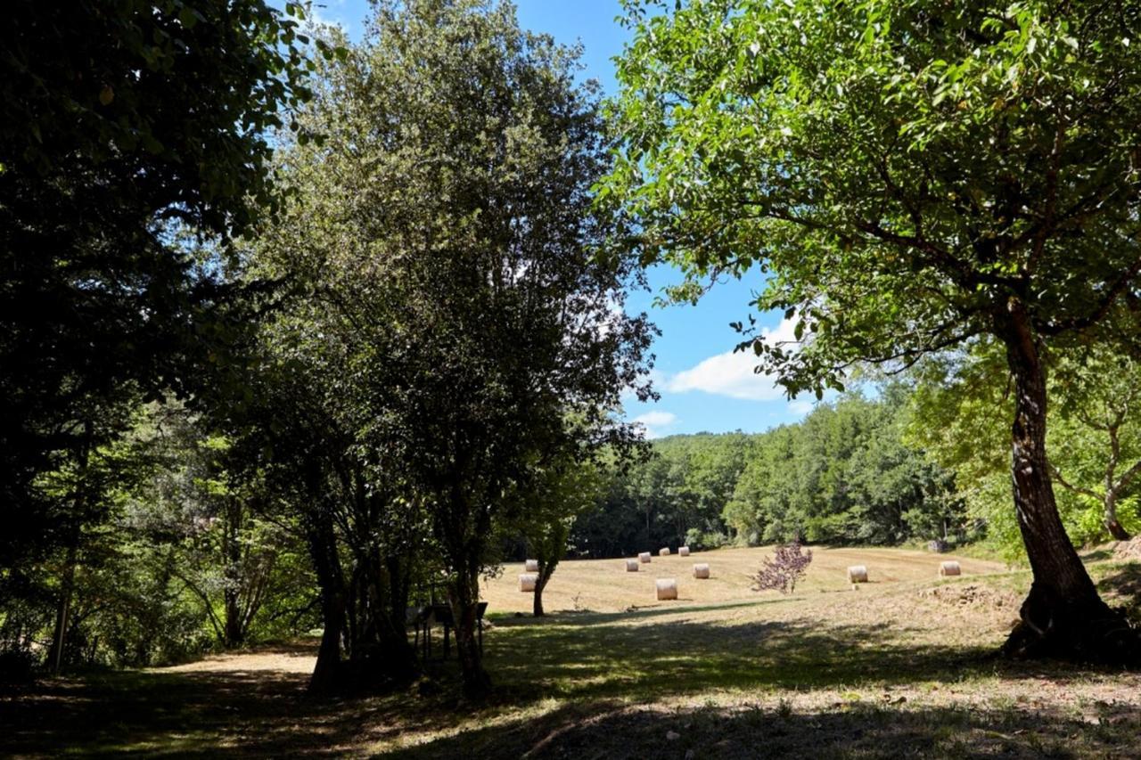 Domaine De Cantegrel - Gites De Charme Et Suite Troglodyte En Perigord Вітрак Екстер'єр фото