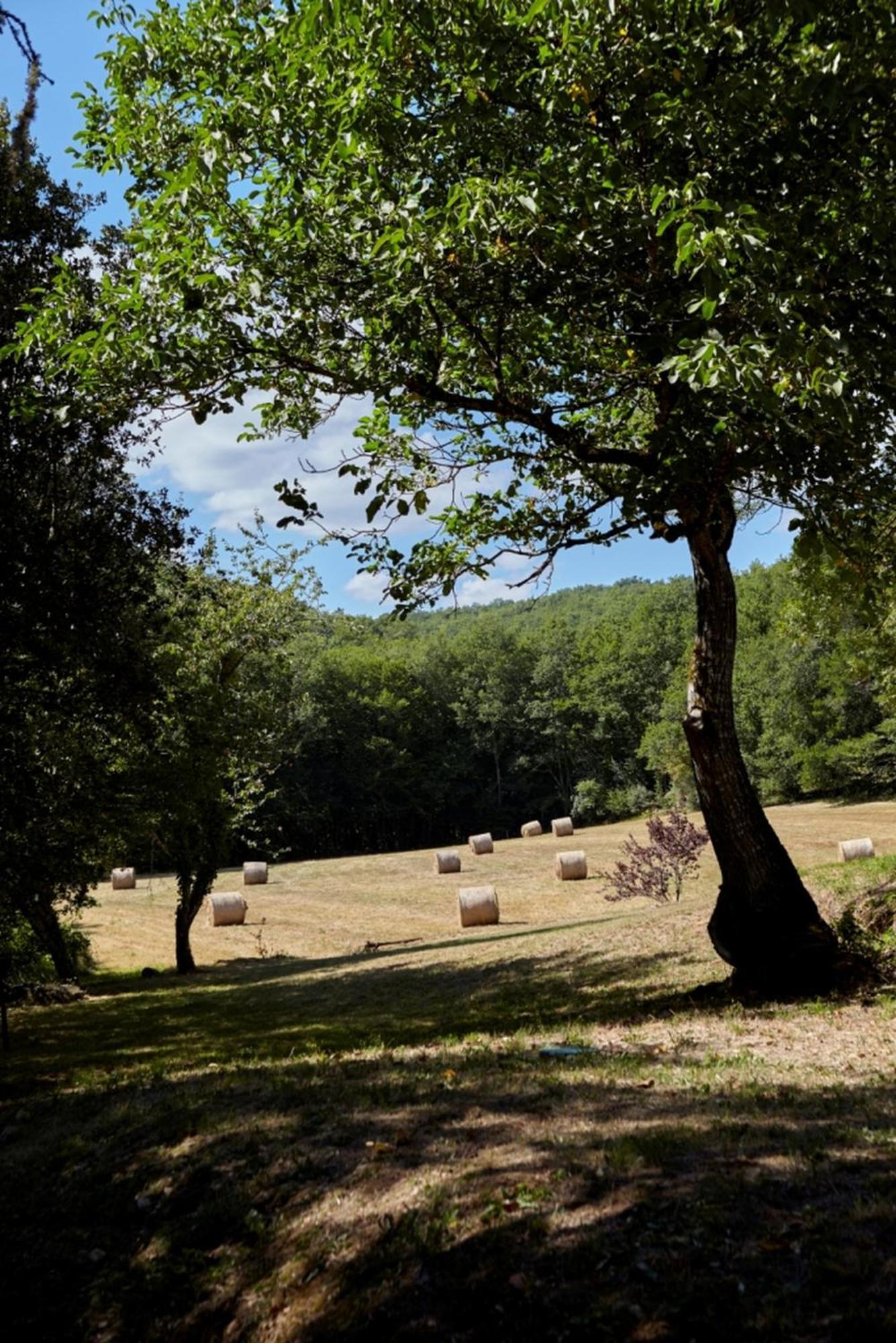 Domaine De Cantegrel - Gites De Charme Et Suite Troglodyte En Perigord Вітрак Екстер'єр фото